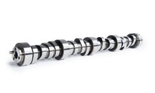 Cam Motion JunkYard Dog Rectangle Port LS Camshaft 229/245 .621/.604 Lift picture