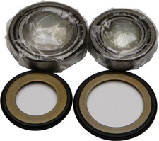 Steering Bearing/Seal Kit picture