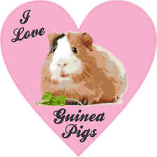 4X4 Heart I Love Guinea Pigs Bumper Sticker Vinyl Cup Decal Animal Car Stickers picture