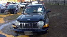 Roof Glass Fits 02-07 LIBERTY 718996 picture