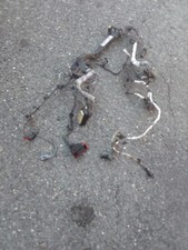 2019-23 Jeep JL Wrangler/Gladiator 3.6 TRANS/ ENGINE Wire Harness 68414373AD  picture