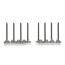 2015-2024 Polaris RZR/Ranger/ACE 900 and 2018-2026 Ranger XP 1000 | Valve Kit picture