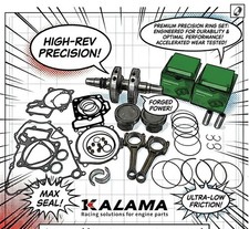 Crankshaft, Piston, Ring, ConRod, Gasket to Kawasaki Brute Force 750 12~23 MIT3 picture