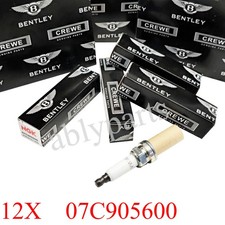 12pcs Spark Plug for Bentley Continental Flying Spur W12 Engine 10-18 07C905600 picture