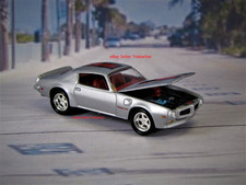 1970-1973 Pontiac Firebird 455 Trans Am Trim Silver picture