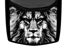 Abstract Lion Head Colorful Hood Truck Wrap Vinyl Car Graphic Decal Grayscale US picture