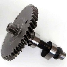 Dynocams Cs Grind Cam, Fits Clone Core, Fits Clone & Fits Predator Hemispherical picture