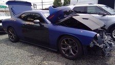 * LOCAL PICKUP ONLY * Trunk/Hatch/Tailgate Painted Fits 15-23 CHALLENGER 692185 picture