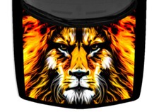 Abstract Lion Head Colorful Illustration Hood Truck Wrap Vinyl Car Graphic Decal picture
