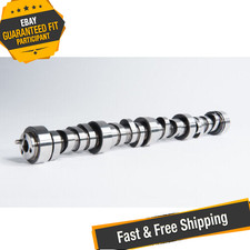 Cam Motion 03-01-0076 Junkyard Dog Cathedral Port V1 LS Camshaft (232/244-111+4) picture