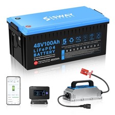 48V 100Ah LiFePO4 Golf Cart Battery 200A BMS with 48V 18A Charger Bluetooth picture