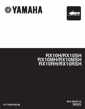 2006-10 Yamaha APEX GT / MOUNTAIN / SE / ER / RTX / RTX ER / GT 40TH ANNIVERSARY picture