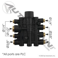 170.1022 - Air PPV Manifold Air PPV Manifold for Mack and Volvo heavy-duty truck picture