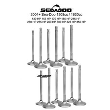 Jetworks Sea-Doo Performance Stainless Valve Set picture