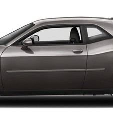 For: Dodge Challenger 2008-2023 Painted Body Side Moldings #FE-CHALL picture