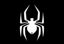 CAN AM SPYDER  DECAL STICKER BUY 1 GET 1 FREE DECALS   picture
