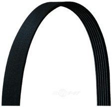 Serpentine Belt  Dayco  5060835DR picture