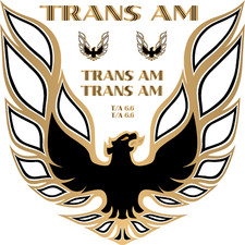 Firebird Trans AM Vintage Retro American Muscle Car Vinyl Sticker Decal Hood picture