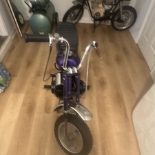 Vintage Late 60S Early 70S Rupp Scrambler Restored Excellent Condition picture
