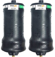 Pair Replaces W02-358-7109, 1104K002 Cab Air Spring Cabin Sleeper Bag Kenworth picture