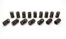 Manley 22407-16 Manley Valve Spring, SPRING-1.437 DOUBLE picture