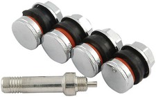 ALLSTAR PERFORMANCE Valve Stem Flush Mount 4pk picture