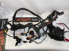 Harley 21-23 Sportster Nightster main wiring harness 69202576 nice complete picture