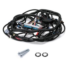 Complete LS Standalone Wiring Harness w/4L60E For 97-06 Vortec 4.8 5.3 6.0L DBC picture