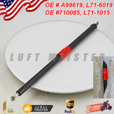 L71-6019 710085 For Peterbilt 579 587 A99619 Strut Hood Assist Paccar L716019 picture