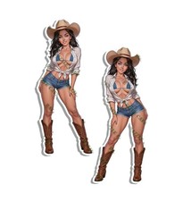 Brunette Cowgirl Bikini Denim Shorts Boots Pin Up Decal 2 PACK 36235 picture