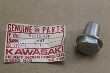 1971-1973 Kawasaki G31 Centurion OEM Magneto Rotor Mount Nut 92015-039 picture