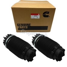 2PCS Rear Left Right Air Suspension Spring For 19-24 Dodge Ram 1500 68260938AA picture