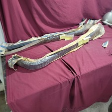 NOS 1981 - 1991 Chevy GMC Front Bumper Impact Strips Original Equipment picture