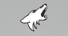Coyote, Mustang, Ford, GT Emblem picture