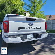 2021-2025 Ford F-150 tailgate letters F150 vinyl inserts decals stickers picture