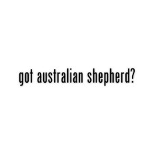 Got Australian Shepherd Vinyl Sticker Die Cut UV Laminated Weatherproof picture