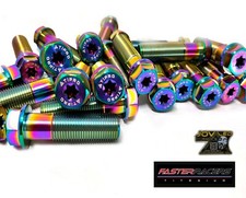 TITANIUM FASTER RACERS ES BOLT M16 KTM 1290 SUPERDUKE EVO BRABUS 1301 Swing Arm picture