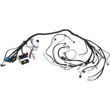 LS Gen IV Stand Alone DBW Wiring Harness 11-Pin picture