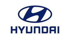 Genuine 353202GHA1 High Pressure Pump for Hyundai Veloster N, Elantra N, Kona N picture