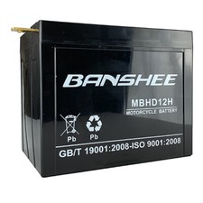 Banshee YHD-12H AGM Battery – OEM for Harley FLH 1340, 1200 & Sportster 65-84 picture