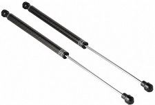 Tomioka Racing Carbon Fiber Hood Struts Pair Scion tC 05-10 NO Hardware picture
