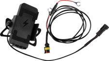 RIDEPOWER - Phone Charging Mount Quick Disconnect Ball | RPINDTVMOUNTQD picture