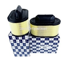 2Pcs NEW Maserati Engine Air Filter Ghibli Quattroporte Levante 670001545 picture