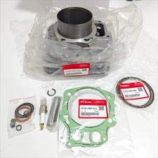 Fit for 98-04 Honda Foreman 450 Cylinder Piston Kit Top End S ES FE FM TRX450 picture