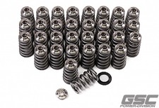 GSC Power Division Fits 5013 Ford 5.2L Voodoo/Predator Spring Kit picture