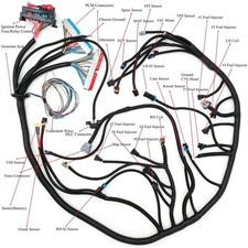 ⬆️For LS SWAPS DBC 4.8 5.3 6.0 1999-2006 LS1-4L60E Wiring Harness Stand Alone picture