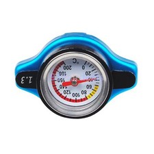 1.3 Bar Thermostatic Radiator Cap 13 PSI Pressure Rating with Temperature Gauge picture