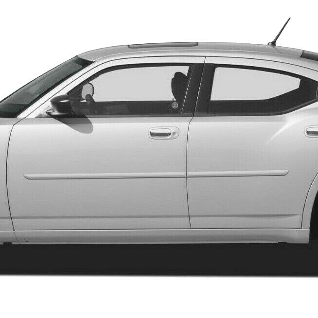 For: Dodge Charger 2006-2010 Painted Body Side Moldings #FE-CHARGER For: Dodge Charger 2006-2010 Painted Body Side Moldings #FE-CHARGER
