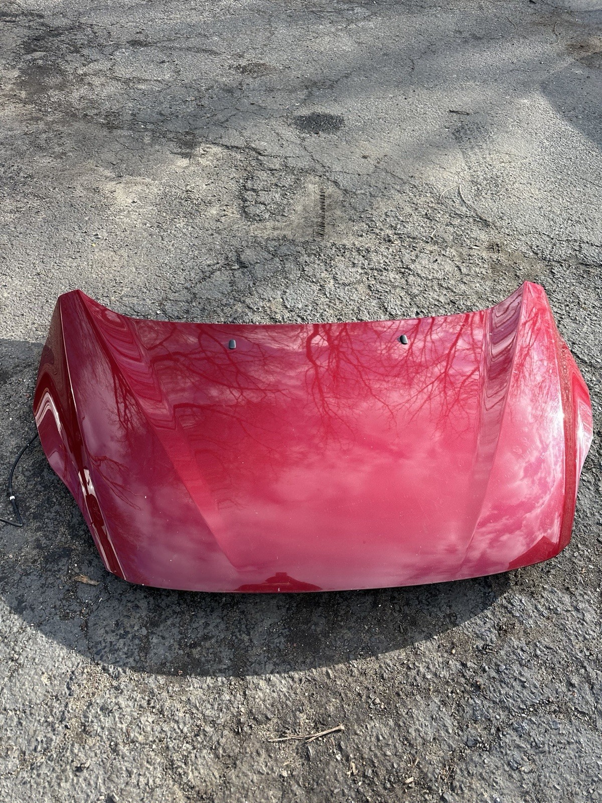 2013-2017 Ford C-Max Front Hood 2013-2017 Ford C-Max Front Hood