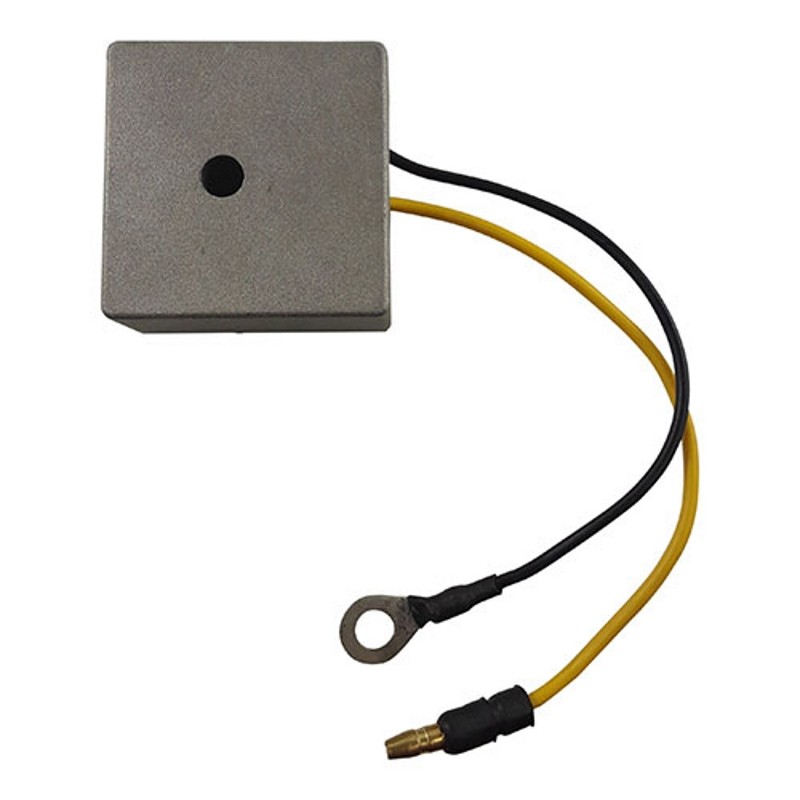 RM Stator RM03800 Universal Heavy Duty Ac Voltage Regulator